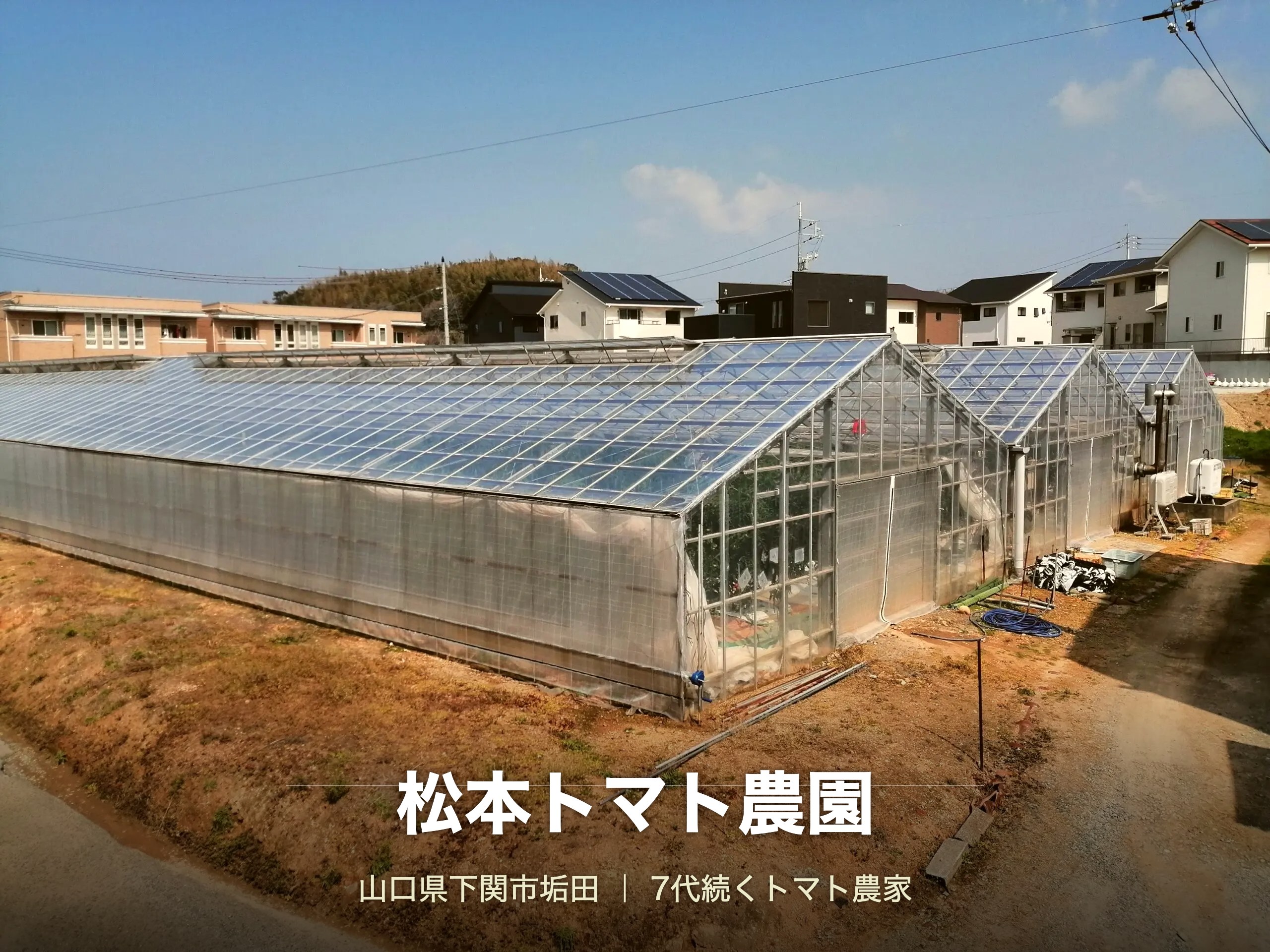 垢田のビニールハウス